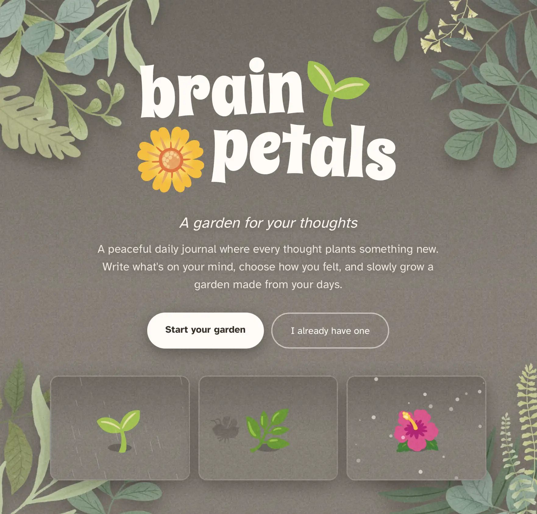 BrainPetals, a private diary where every entry plants a flower