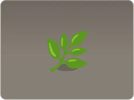 A window showing a young plant as the light goes from day to night and back
