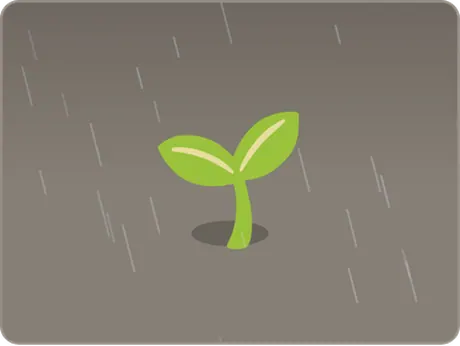 A window showing a seedling in the rain